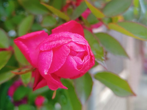 MEITU_20250215_104129039.jpg