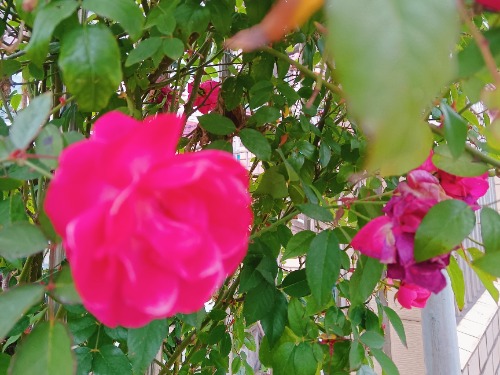 MEITU_20250215_104229754.jpg