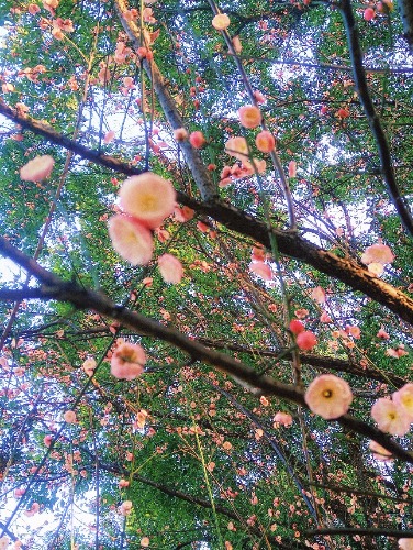 MEITU_20250219_084753593.jpg