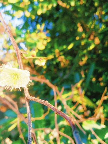 MEITU_20250219_084832240.jpg