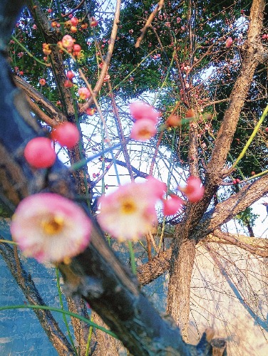 MEITU_20250219_084901295.jpg