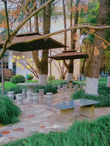 MEITU_20250220_091027813.jpg