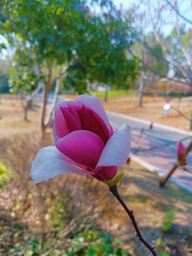 MEITU_20250322_124840106.jpg