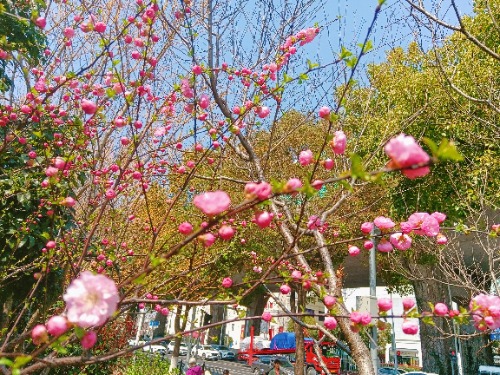 MEITU_20250322_125807608.jpg
