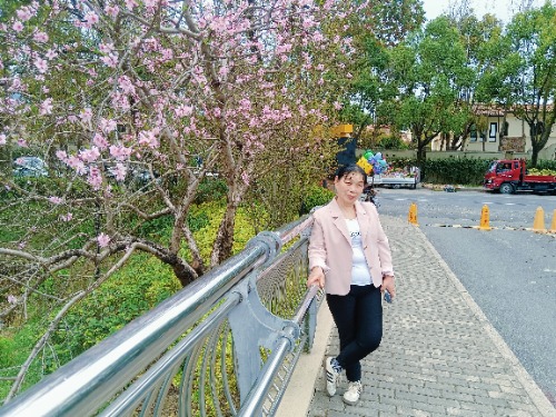 MEITU_20250323_174816065.jpg