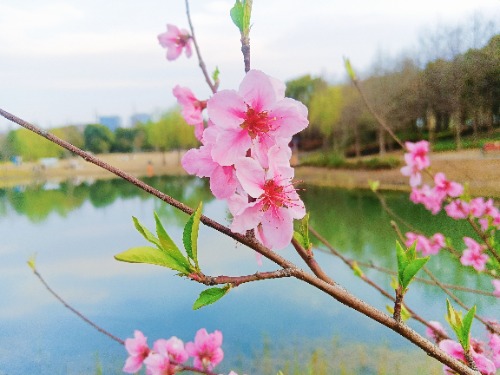 MEITU_20250323_180136791.jpg