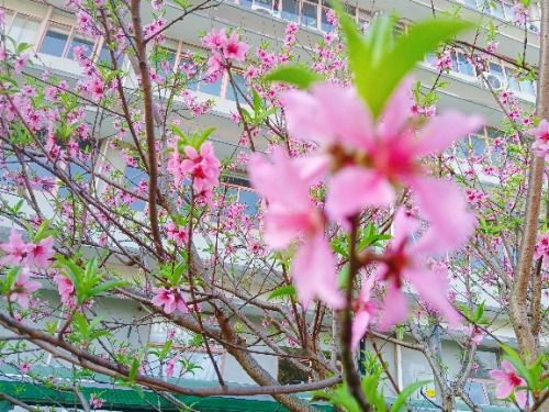 MEITU_20250326_165916228.jpg