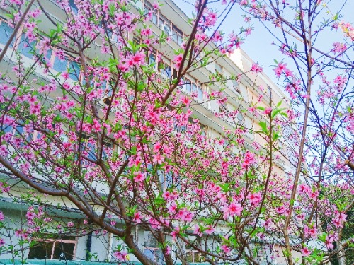 MEITU_20250326_165817278.jpg