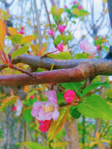 MEITU_20250403_132749947.jpg