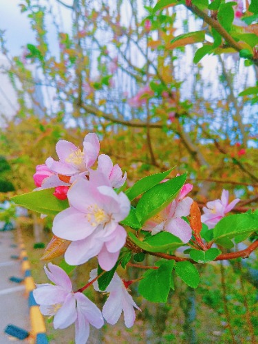 MEITU_20250403_132824748.jpg