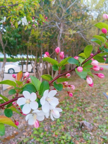MEITU_20250403_132408743.jpg