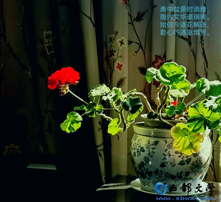 微信截图_20250403232806.png