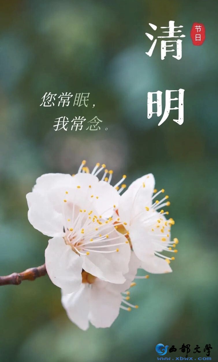 A24C698B-DCDB-452A-A128-6E3980E739A0.jpeg