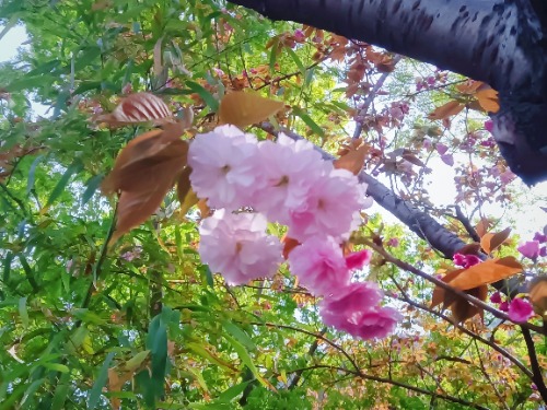 MEITU_20250404_110426001.jpg