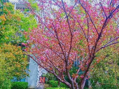 MEITU_20250404_125934728.jpg