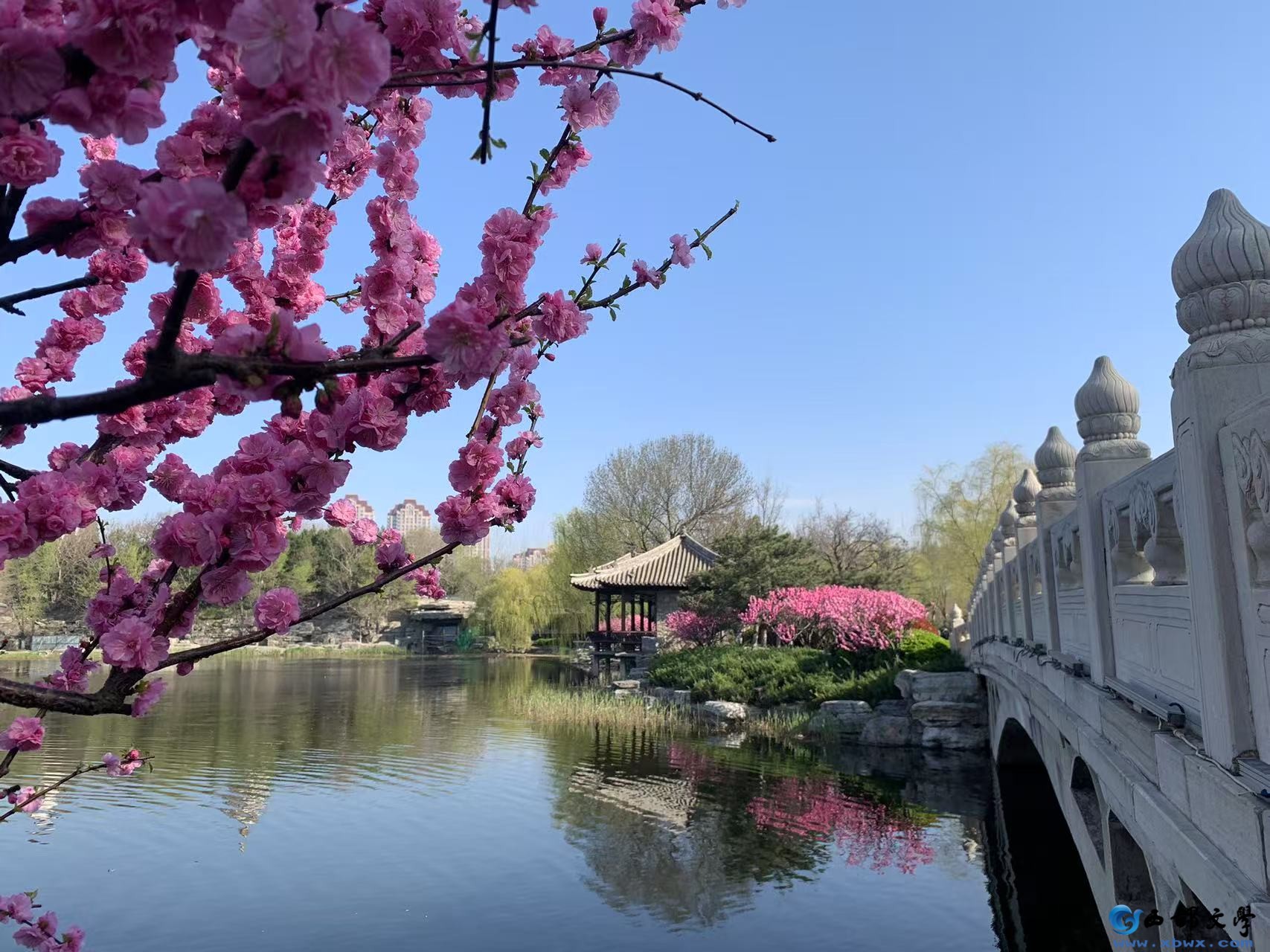 微信图片_20250405111300.jpg