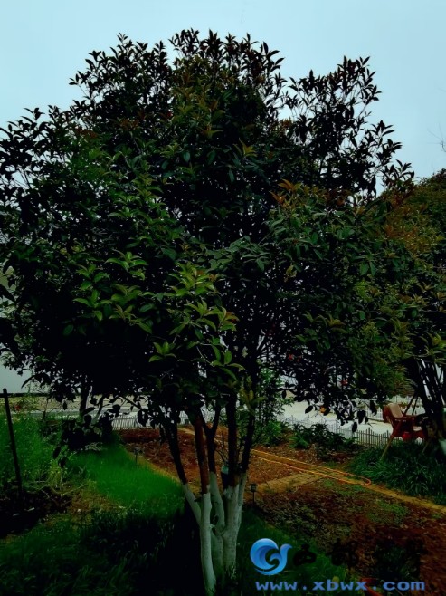 微信截图_20250407092819.png