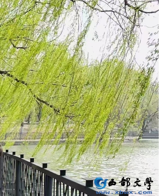 微信截图_20250404151536.png