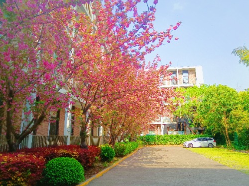 MEITU_20250409_151700306.jpg