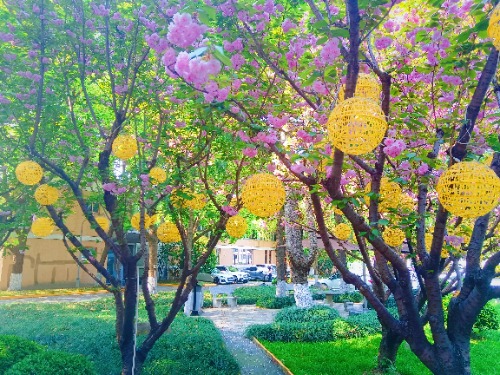 MEITU_20250409_092742219.jpg