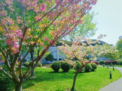 MEITU_20250408_172132506.jpg