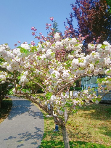MEITU_20250408_171916131.jpg