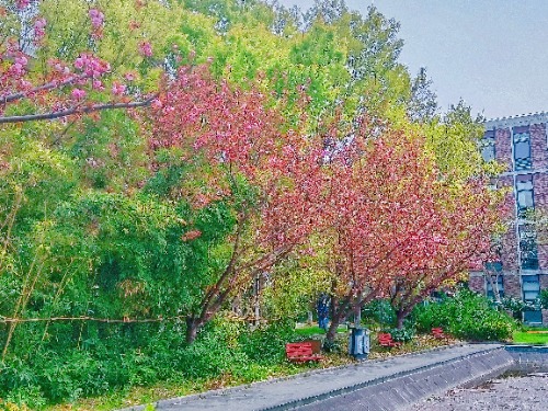 MEITU_20250404_125853207.jpg