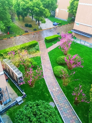 MEITU_20250401_194751072.jpg