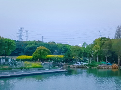 MEITU_20250404_130140677.jpg