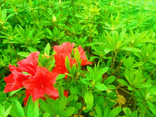 MEITU_20250414_093721423.jpg