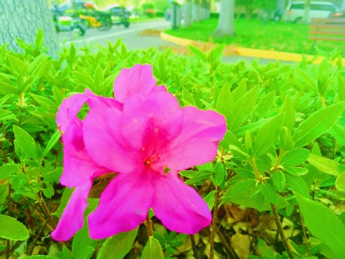 MEITU_20250414_093648099.jpg