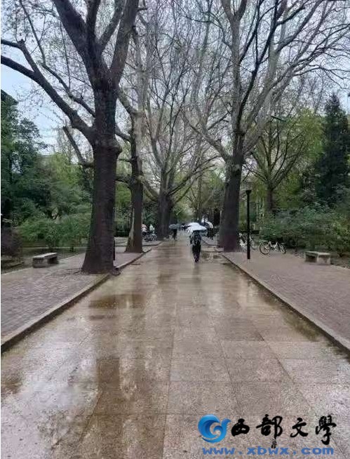微信截图_20250418231140.png