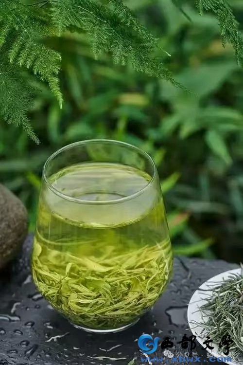 ff26b6517b0cda4e6ff4f85f1b91b6c.jpg