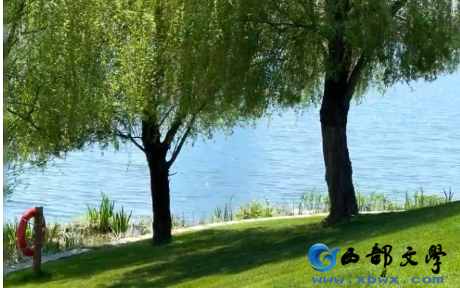 QQ_1745306846582.png