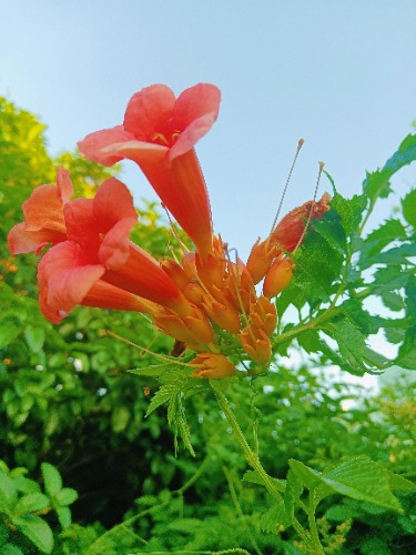 MEITU_20250605_073613546.jpg