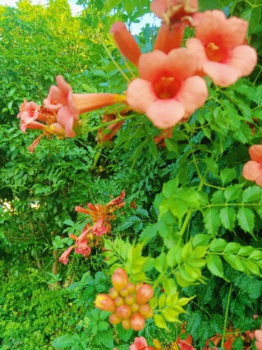 MEITU_20250605_073800382.jpg