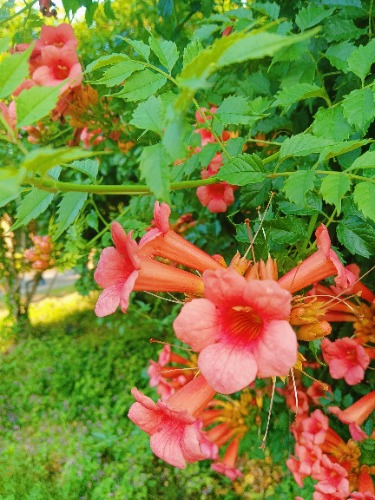 MEITU_20250605_073816298.jpg