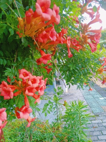 MEITU_20250605_073442602.jpg
