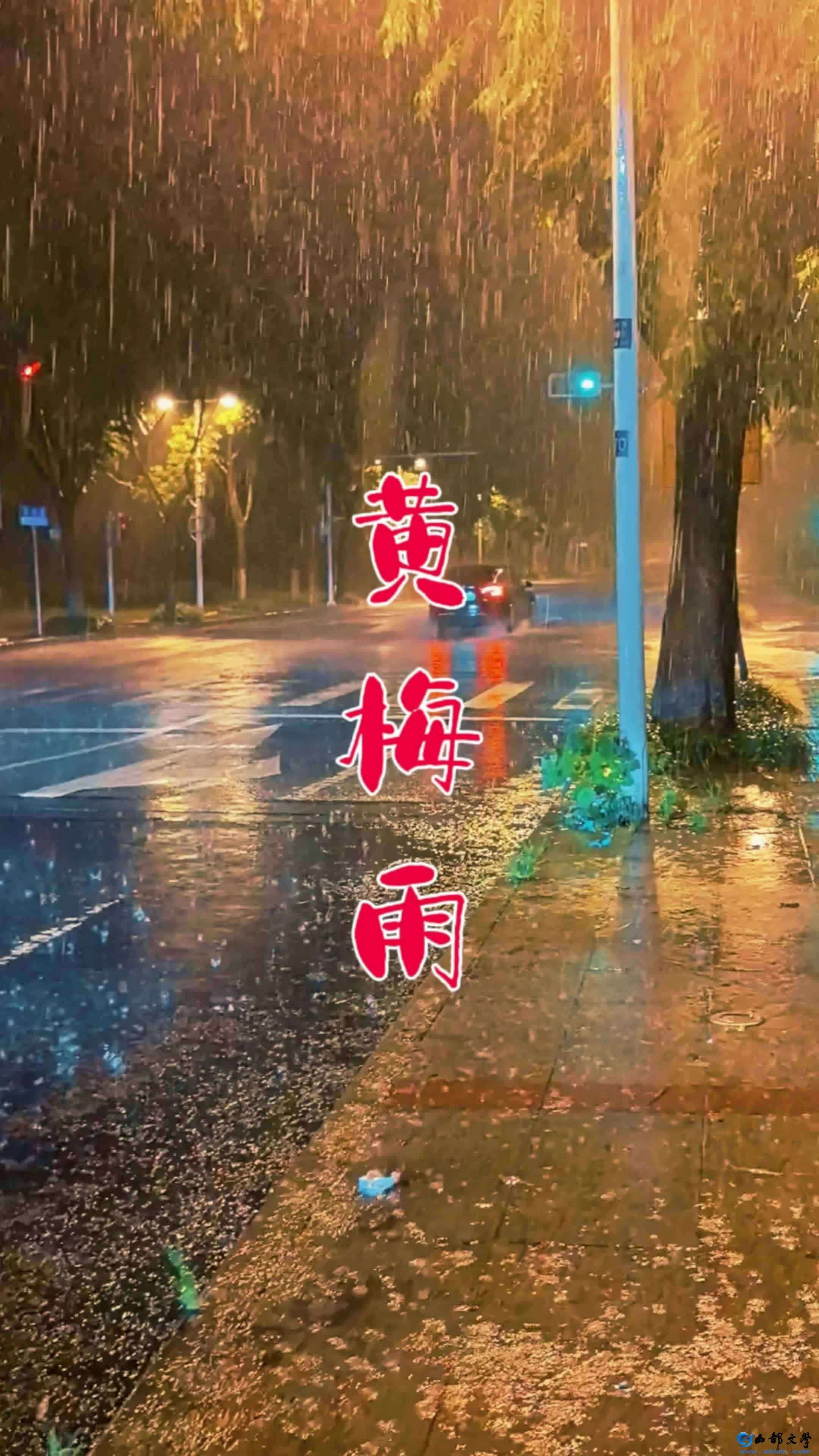 梅雨.jpg
