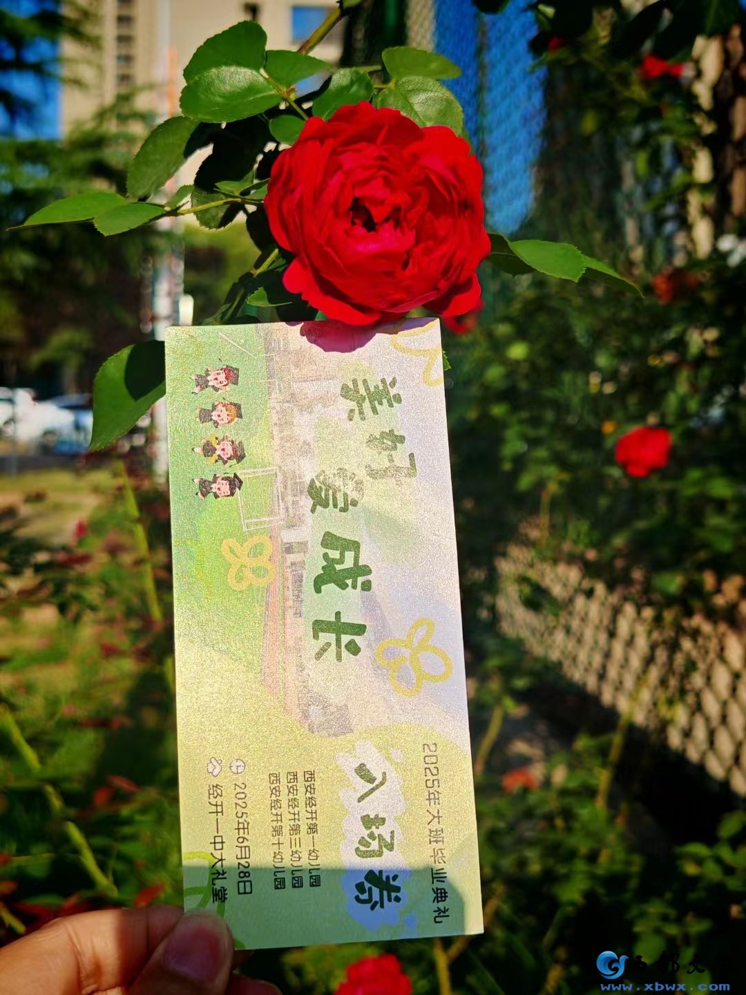 微信图片_20250815170332.jpg