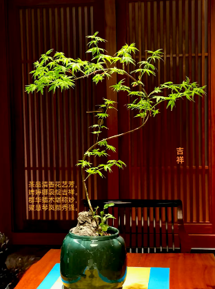 wechat_2025-08-27_181240_225.png