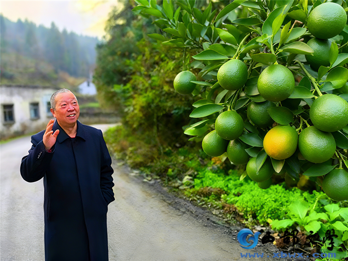 1生成胰岛果相关照片.png