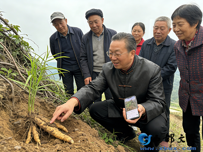生成特定场景照片.png