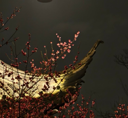 【芸竹诗歌】无题