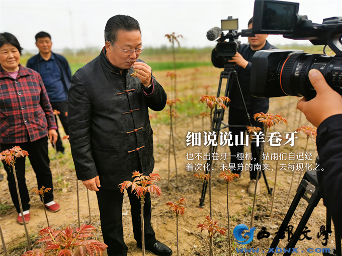 5生成AI智慧数字照片.png