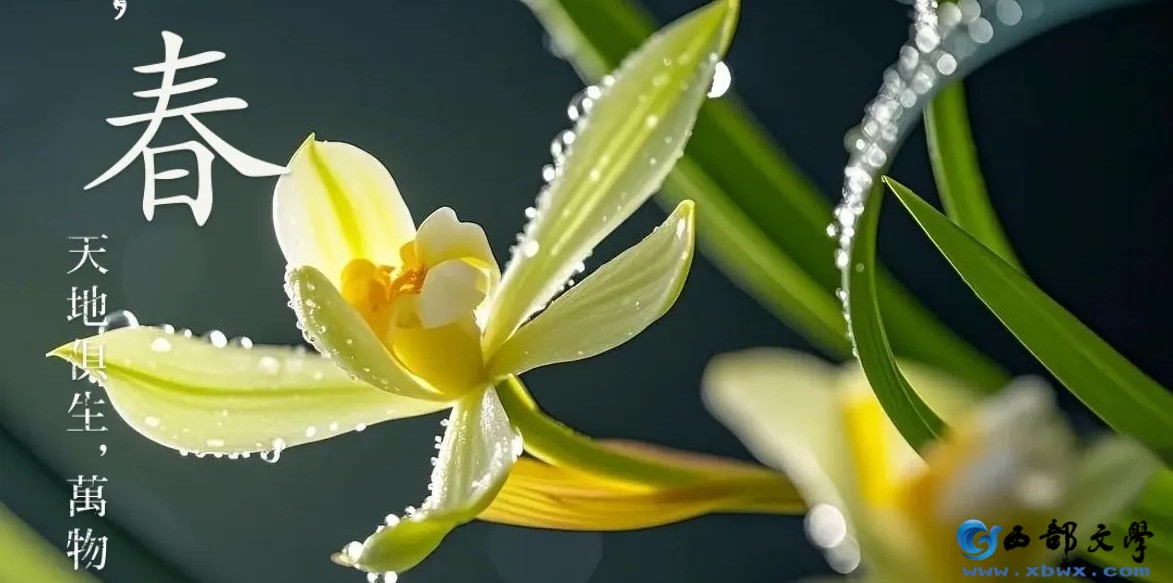 【徐东风诗歌】只此青绿（外一首）