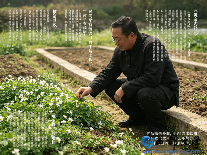 2生成智慧数字照片.png