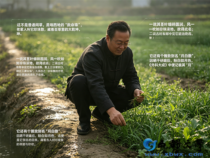 1生成电影写真风格智慧数字照片.png
