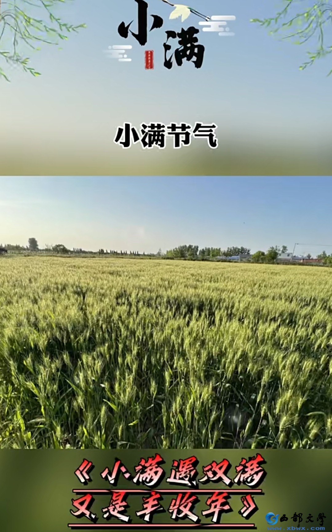 Screenshot_20260521_095156_com.baidu.searchbox_edit_6018749086457645.jpg