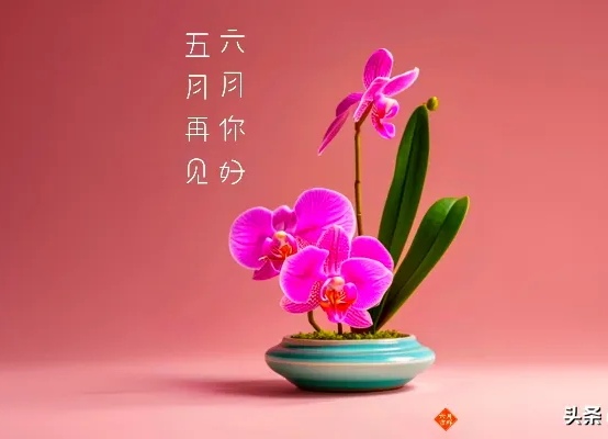 eea0d414b8b3b1df49e48807fde42edd_edit_13125916033550.jpg